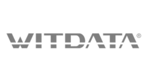 logo witdata